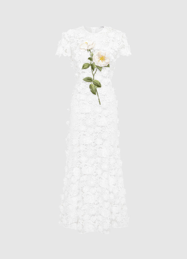 Lueur™ | Fleur de Nuit