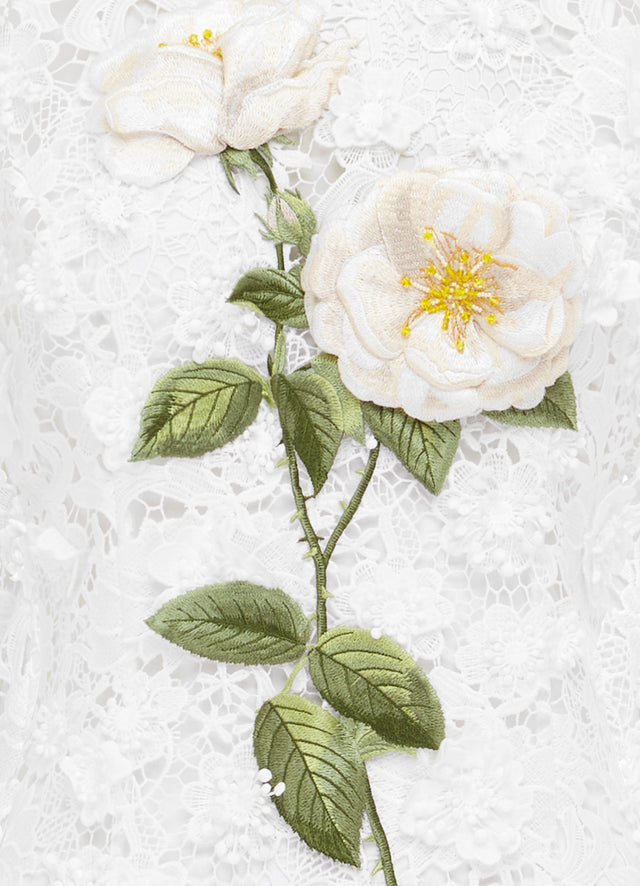 Lueur™ | Fleur de Nuit