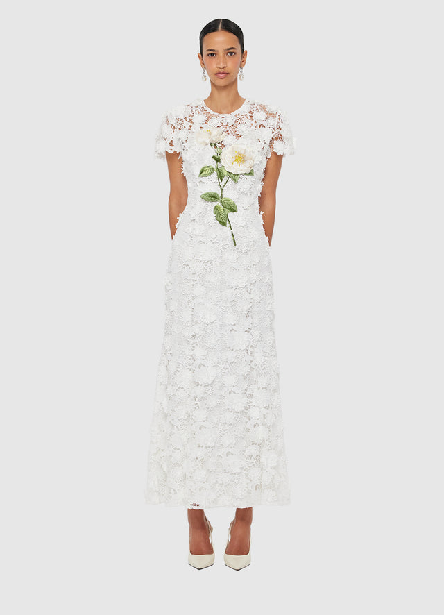 Lueur™ | Fleur de Nuit